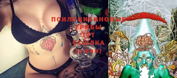 круглые Аркадак
