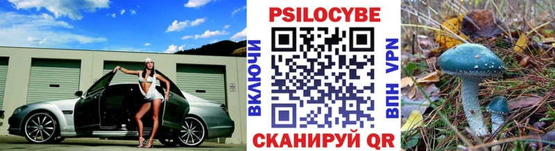 Псилоцибиновые грибы Psilocybine cubensis  где можно купить   Нижний Новгород 