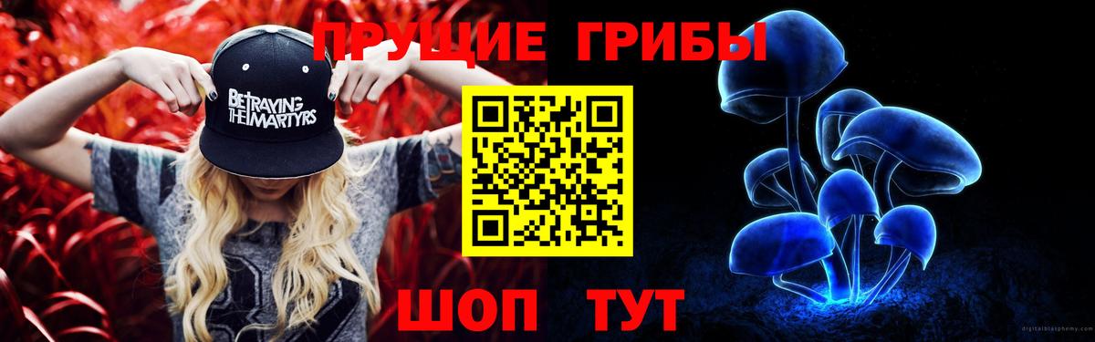 Псилоцибиновые грибы Psilocybe Нижний Новгород